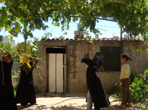 Women learning to use cameras as part of the Depicting Injustice research project. Gaza 2010